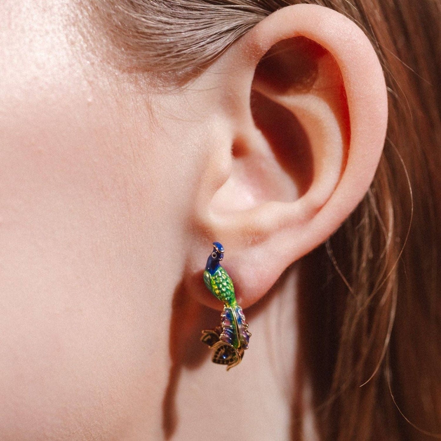 Bill Skinner Peacock Studs -nappikorvakorut